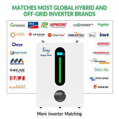 EU Stock Wall Mounted Battery 51.2V 5kWh 10kWh 100Ah 200Ah PowerWall LiFePO4 Lithium Ion Home Energy Storage System for Off Grid Hybrid Grid Applications Happy Times