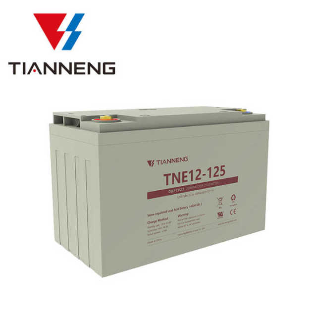 Lead Acid Battery 12V 125Ah Deep Cycle Sealed AGM for Electric Wheelchairs Power Systems Tianneng