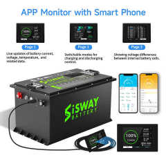 Rechargeable 48V Lithium Golf Cart Battery 36V 48V 72V 100Ah 200Ah 300Ah LiFePO4 Battery Pack for Golf Carts SISWAY