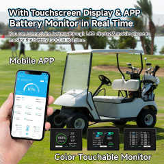 Rechargeable Golf Cart Battery 24V 36V 48V 72V 100Ah 200Ah 300Ah LiFePO4 Battery with Intelligent BMS System for Golf Carts Power Tools Solar Storage SISWAY