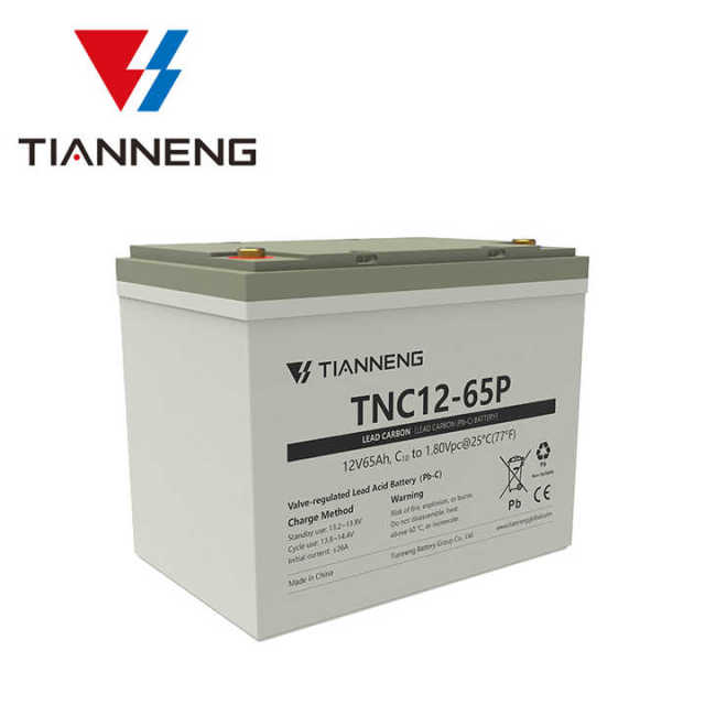 Tianneng TNC 12-65P UPS Battery 12V 65Ah Deep Cycle Sealed AGM for Solar Energy Storage Golf Carts Electric Wheelchairs Lighting Home Appliances
