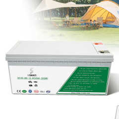LiFePO4 Battery 12V 100Ah Rechargeable Deep Cycle for Solar Storage SW-08