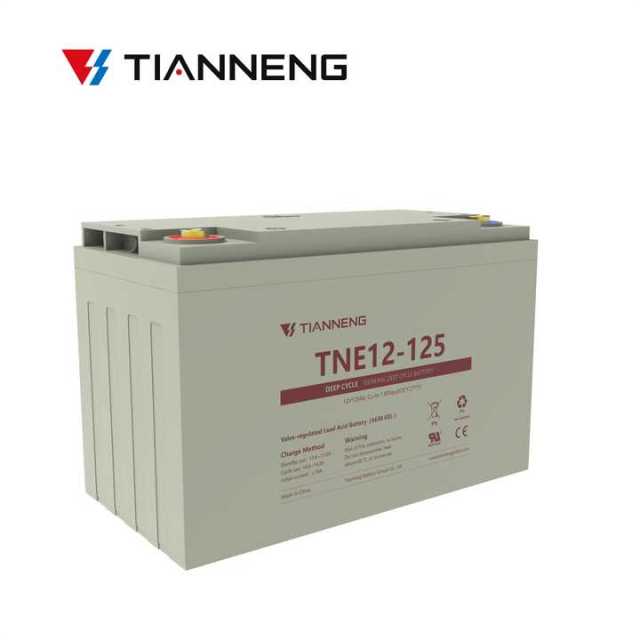 Lead Acid Battery 12V 125Ah Deep Cycle Sealed AGM for Electric Wheelchairs Power Systems Tianneng