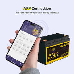 UL 12V 100Ah 200Ah Deep Cycle Lithium Battery for Off-Grid Solar Energy Storage Systems and Container Homes Lifepo4 Battery
