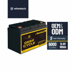 UL 12V 100Ah 200Ah Deep Cycle Lithium Battery for Off-Grid Solar Energy Storage Systems and Container Homes Lifepo4 Battery