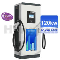 DC EV Charger 30-120kW CCS2/Chademo Fast Charging Station for Electric Vehicles Hongjiali