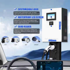 Factory Price Customized Wall Mounted GBT CCS2 CHAdeMO EV Charger DC Fast Charging Station 20kW 30kW for Electric Vehicles Hongjiali