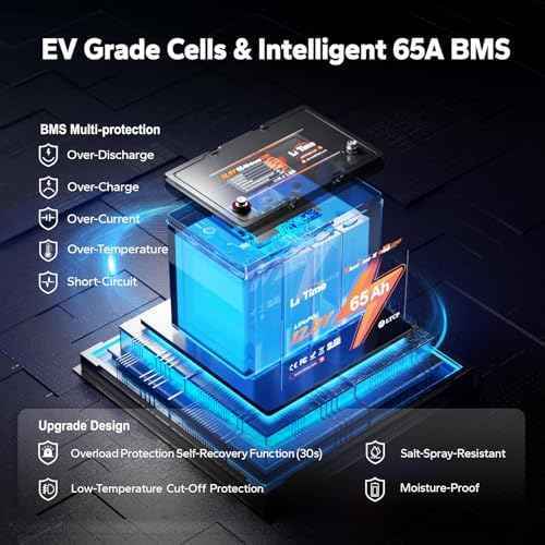 65Ah LiFePO4 12V Lithium Battery 832Wh Waterproof IP65 Electric Wheelchairs Medical Devices Battery with 65A BMS Group 22NF