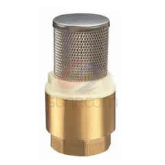 Brass Foot Valve Strainer Thread Connection Firefighting Equipment Accessory with SS Brass Screen China Factory Direct Sales