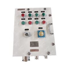 BXFK Series Dust Explosion-Proof Control Cabinets Stainless Steel Construction For Hazardous Gas and Dust Environments