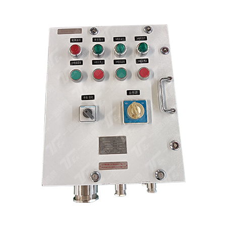 BXFK Series Dust Explosion-Proof Control Cabinets Stainless Steel Construction For Hazardous Gas and Dust Environments