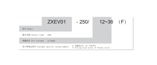 ZXEV01-250A Epoxy Encapsulated HV DC Contactor High Current Fast Switching Explosion-Proof for EV Charging Battery Systems