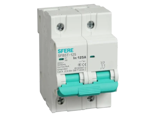 Miniature Circuit Breaker SFB5T-125 Series Overload Short-Circuit Protection for Industrial Commercial and Residential Applications Elecnova Power