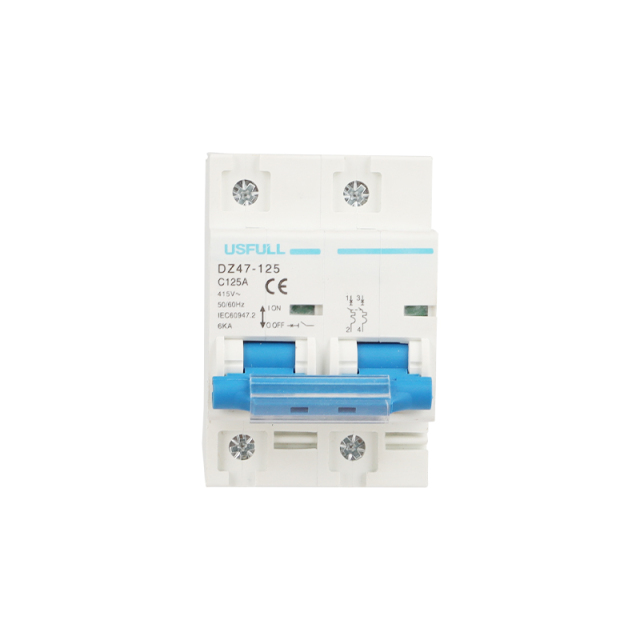 Miniature Circuit Breaker DZ47-125 (NC100H) 80A-125A High Breaking Capacity 6kA Lighting and Motor Distribution Systems USFULL