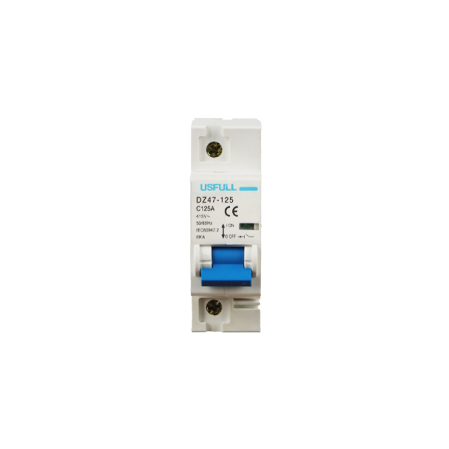 Miniature Circuit Breaker DZ47-125 (NC100H) 80A-125A High Breaking Capacity 6kA Lighting and Motor Distribution Systems USFULL