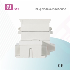 Plug Blade Cut out Fuse High-Quality DC Fuse Link for Solar Energy and Battery Storage Systems