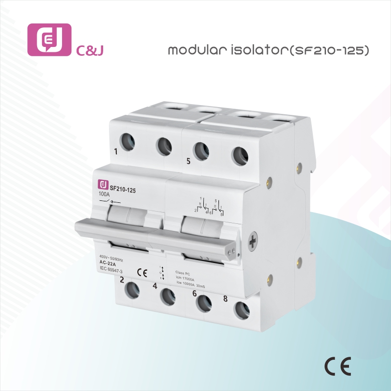 Factory Supply SF210-125 2P Electrical DIN Rail Mini Modular Isolator for Circuit Protection in Household and Industrial Applications