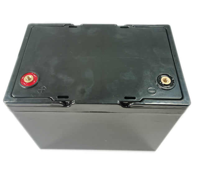 12V 100Ah LiFePO4 Prismatic Rechargeable Deep Cycle Battery for RV Camping Solar Boat PINE