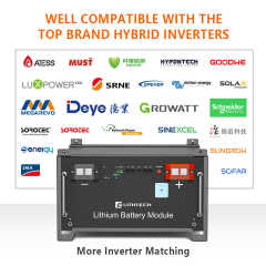 Customized ESS 30Kwh 50kwh 60Kwh Solar Energy Storage System 48v 600ah LiFePO4 Batteries Rack Storage Lithium Battery Cabinet 482*420*178mm 42kg Off Grid Hybrid Grid Application Lithtech