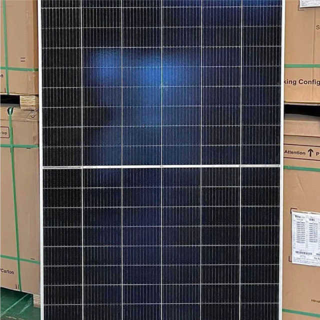 Trina Bifacial Vertex S Solar Panels 650W 670W Glas/Glas PV Module TAM 650de21-mbb High Efficiency N-Type TOPCon Double-Glass Solar Panels for Residential Commercial Industrial Use Trina