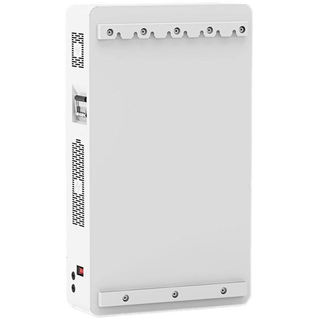 Wall Mounted Battery 25.6V-57.2V 50Ah-300Ah Compact Design for Solar & Telecommunication Energy Storage