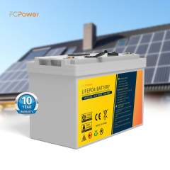 LiFePO4 12V 100Ah Lithium Battery Deep Cycle Long Life Solar Storage RV Marine FC Solar