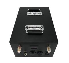 Deep Cycle Recharge 12V 24V 36V 48V 72V Electric Vehicles Battery Long Cycle Life 3000-5000 Cycles Fast Charging Low Self-Discharge for EVs NOVOXY