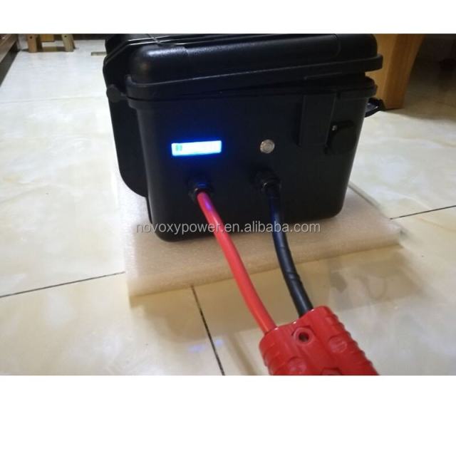12.8V 100Ah Waterproof Lithium Deep Cycle Battery for Marine, RV, and Off-Grid Solar Systems