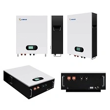 48V50Ah Powerwall Long Cycle Life 6000 Times 80% Depth of Discharge Solar Wind Energy Storage System LEODAR