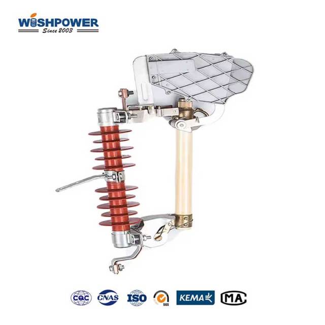 Loadbreak Polymer Cutout 15kV 110kV BIL 100A Fuse Holder Arc Quenching Insulation Protection Device for Power Distribution Networks Wishpower