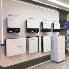 5KW Hybrid Solar Power System 3-20KW MPPT Inverter Home Commercial Industrial Use Growatt Hybrid Inverter mailely