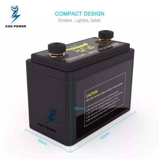 LiFePO4 Dirt Bike Battery 12V 20Ah High CCA 260A Fast Charging Cold Weather Resistant for Harley Racing Bikes