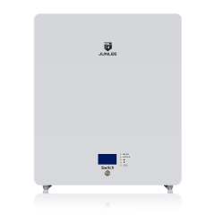 51.2V 100Ah Wall Mount Lithium Iron Battery 5kWh Power Wall 6000 Cycle Times Residential Solar Energy Storage System