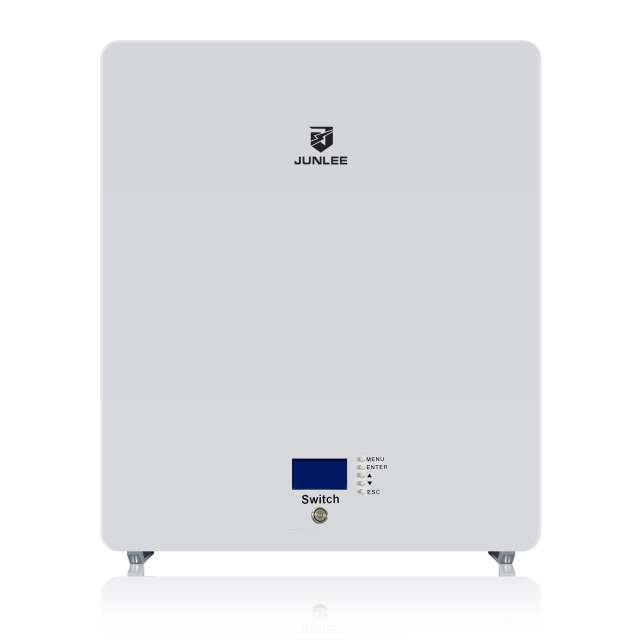51.2V 100Ah Wall Mount Lithium Iron Battery 5kWh Power Wall 6000 Cycle Times Residential Solar Energy Storage System