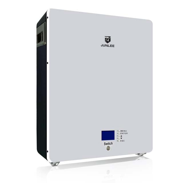 51.2V 100Ah Wall Mount Lithium Iron Battery 5kWh Power Wall 6000 Cycle Times Residential Solar Energy Storage System
