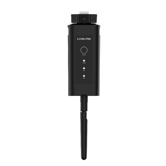 Stick Logger Data Acquisition Terminal 4G/WiFi Pluggable IP65 for Inverter Monitoring Livoltek
