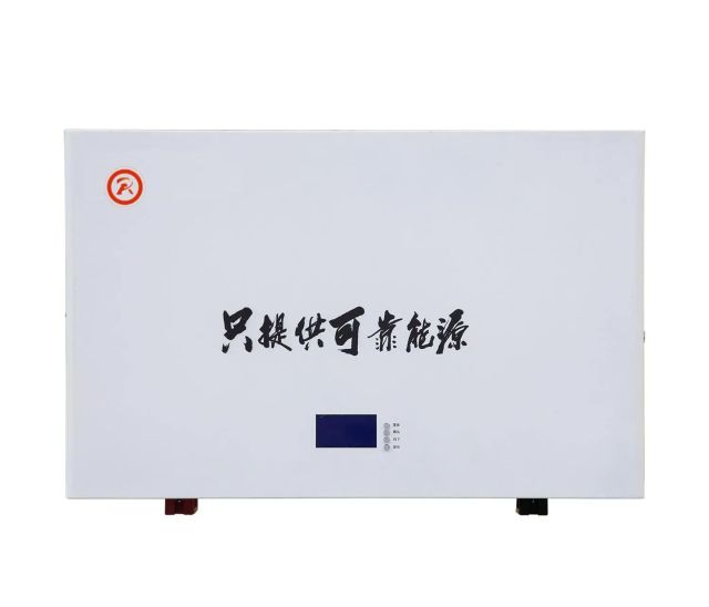 Wall Mounted Solar Lithium-Ion Energy Storage System 51.2V 100Ah LiFePO4 High Efficiency for Home and Business Backup Power RICHYE