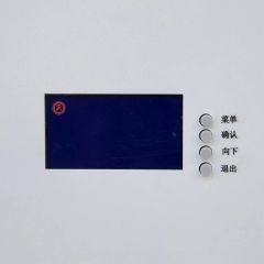 Wall Mounted Solar Lithium-Ion Energy Storage System 51.2V 100Ah LiFePO4 High Efficiency for Home and Business Backup Power RICHYE