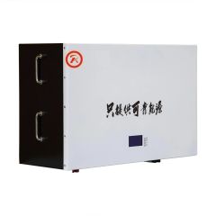 Wall Mounted Solar Lithium-Ion Energy Storage System 51.2V 100Ah LiFePO4 High Efficiency for Home and Business Backup Power RICHYE