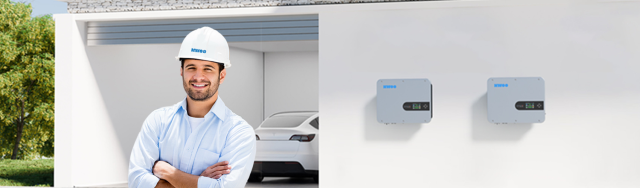 HWOO UPS Function Inverter <10ms Switching Time for Home and Business Backup Power