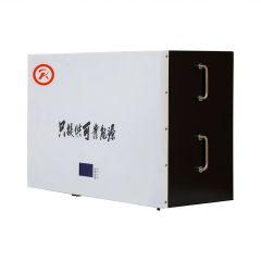 Wall Mounted Solar Lithium-Ion Energy Storage System 51.2V 100Ah LiFePO4 High Efficiency for Home and Business Backup Power RICHYE