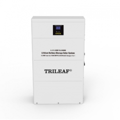 Wall Stand Lithium Battery Pack 6.4KWH-15KWH BYD Cells 6000 Cycles Solar Energy Storage System