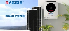 2000 Watt Solar Power Inverter Pure Sine Wave Home/Business Use Shanghai RAGGIE
