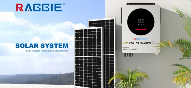 2000 Watt Solar Power Inverter Pure Sine Wave Home/Business Use Shanghai RAGGIE
