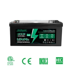 Lithium Ion Battery 38.4V/48V 100Ah/50Ah LiFePO4 for Golf Cart and Tour Vehicle EverExceed