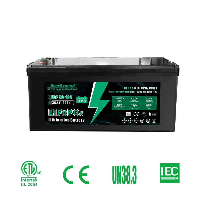 Lithium Ion Battery 38.4V/48V 100Ah/50Ah Long Life Cycle for Golf Cart EverExceed