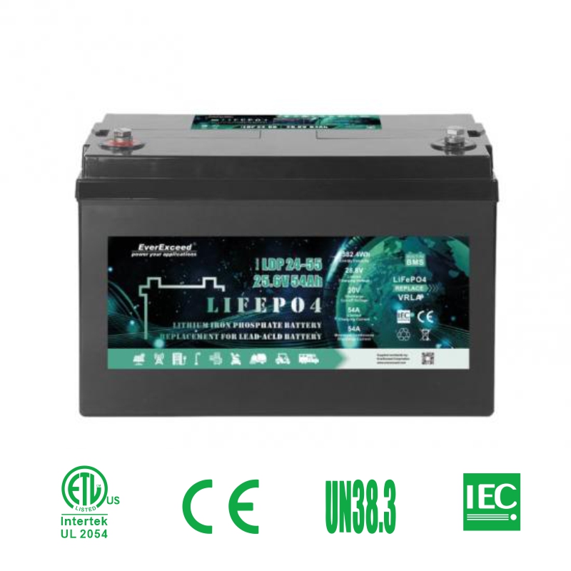 Rechargeable 25.6V 55ah Lithium Battery Pack High Cycle Life Solar Energy Storage System EverExceed