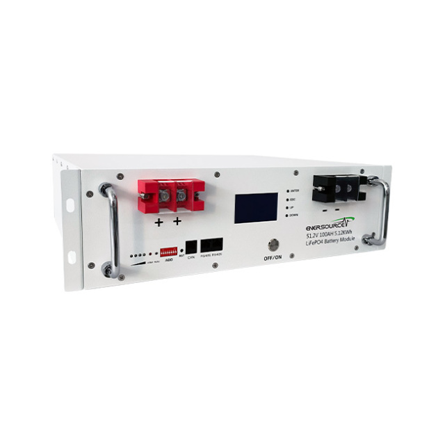 Rack-Mounted Battery 51.2V 100Ah Lithium Iron Phosphate for Residential and Industrial Energy Storage