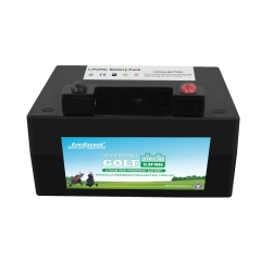 Golf Trolley Lithium Battery 12.8V UL Certified Lightweight High Cycle Life for Golf Carts EverExceed