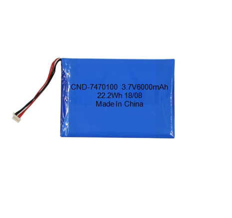 Lithium Ion Polymer Battery 3.7V 6000mAh with PCM Protection for Handheld Terminal, Tablet, GPS Devices CND-7470100P